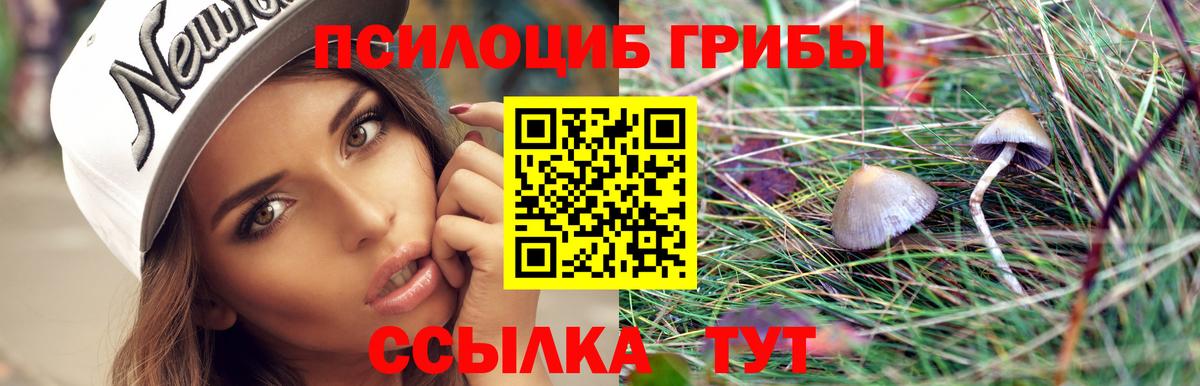 Галлюциногенные грибы прущие грибы  сколько стоит  Карпинск  Вход с VPN  Галлюциногенные грибы ЛСД 