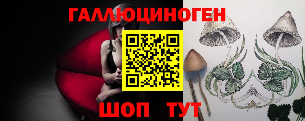 Галлюциногенные грибы Psilocybine cubensis Карпинск
